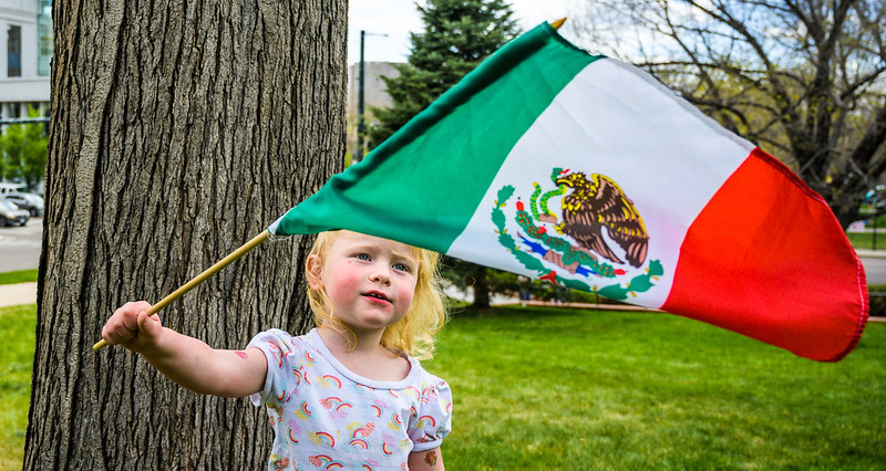 A young girle waving a Mexican flag with a pondering look.