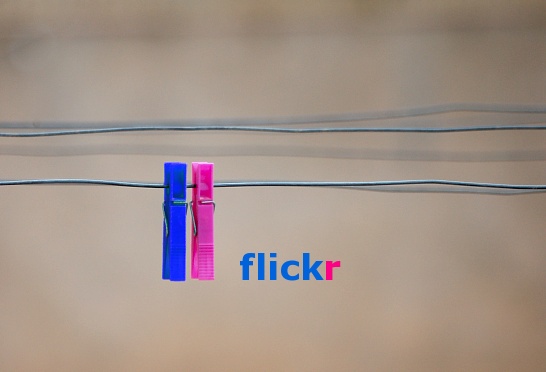 blue and pink clothes pegs on a line by the work flickr