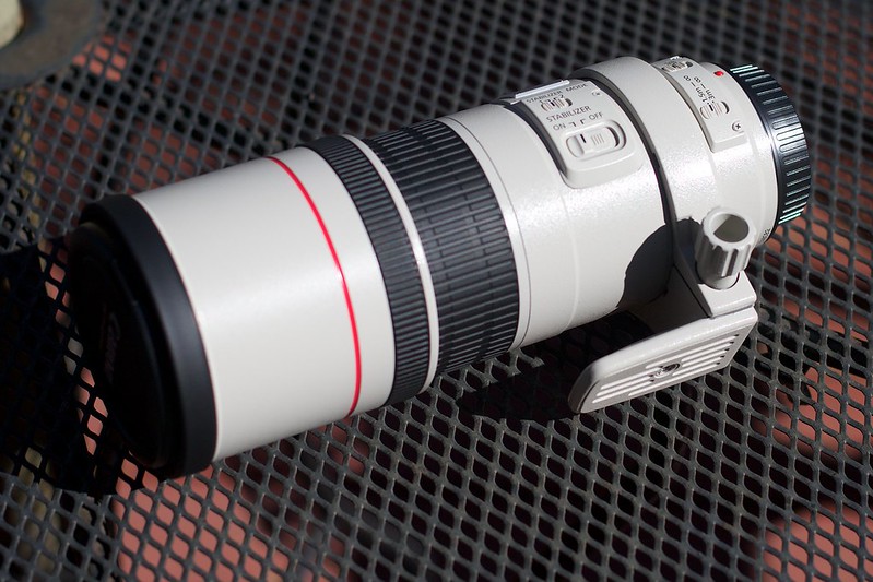Picture of a Canon 300mm f/4 L, a prime lens.