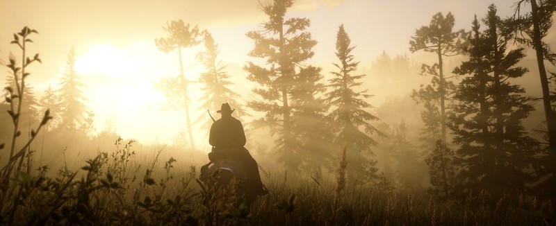 Screenshot of Red Dead Redemption 2 of Arthur Morgan on his horse riding through tall grass with the sun flaring into the lens.