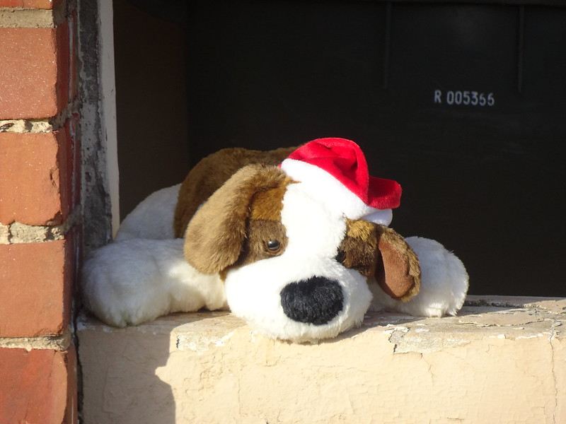 Toy dog with Santa hat.