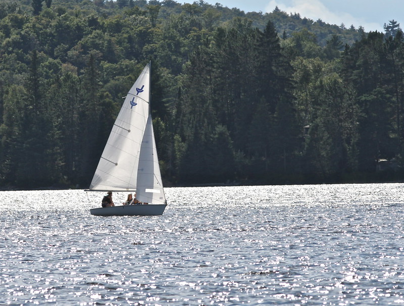 Sail boat at Canoe Lake in Algonquin Park