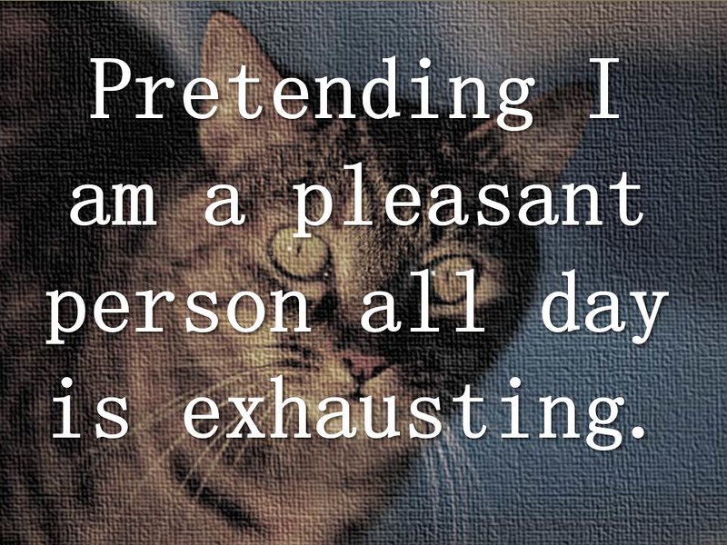 Picture of a screen printed cat with  Quotation: "Pretending I am a pleasant person all day is exhausting." 