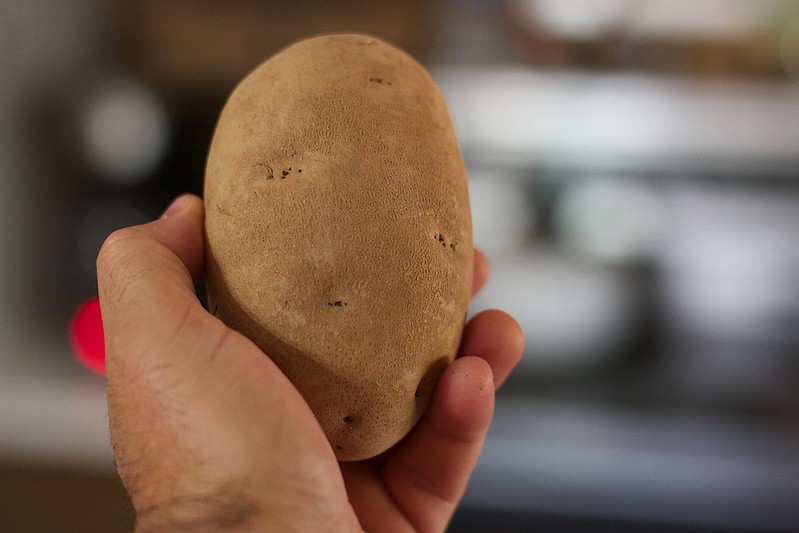 Photo with shallow depth of field showing a a hand holding a large potatoe.